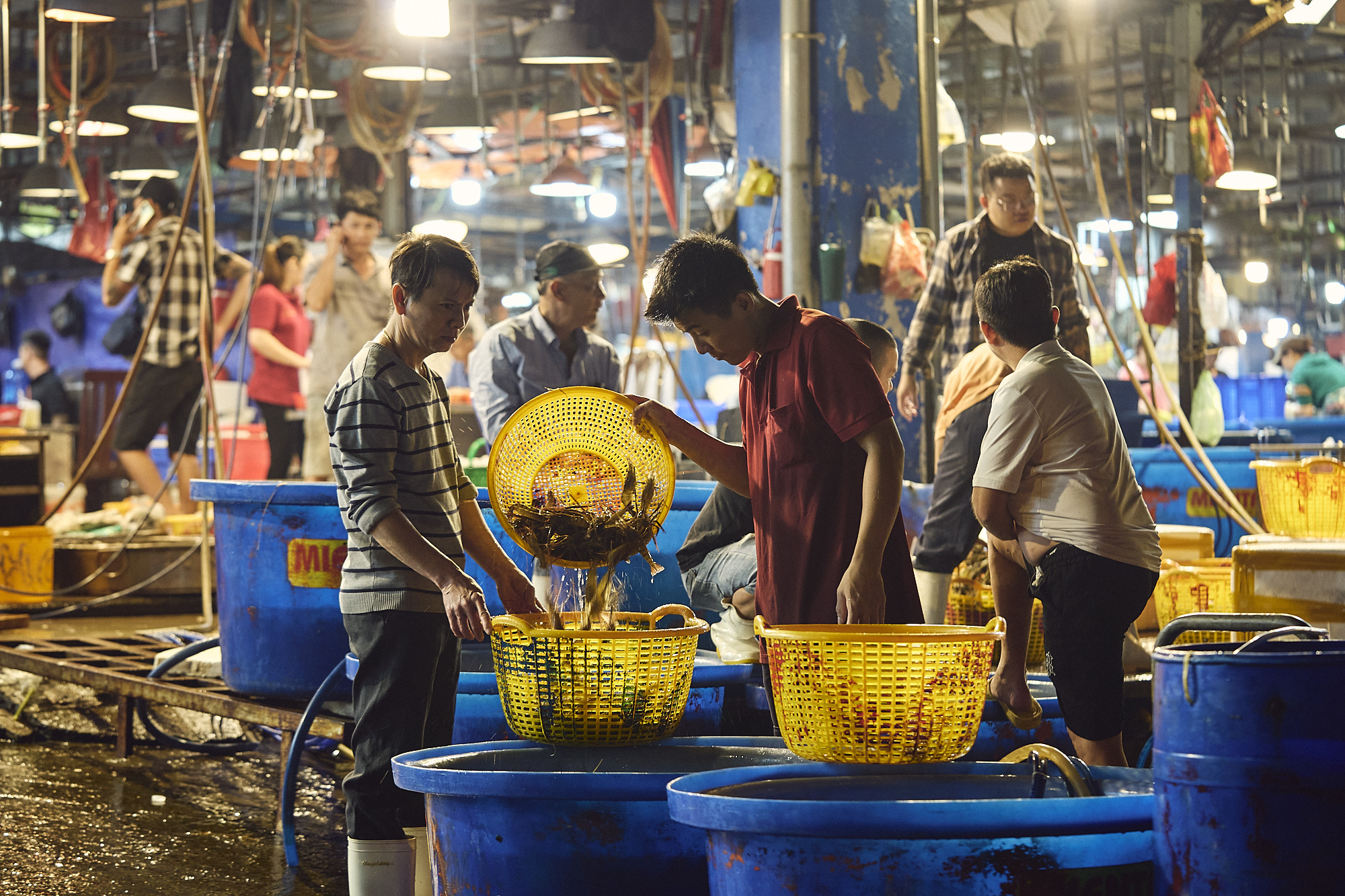 tfq culinary saigon