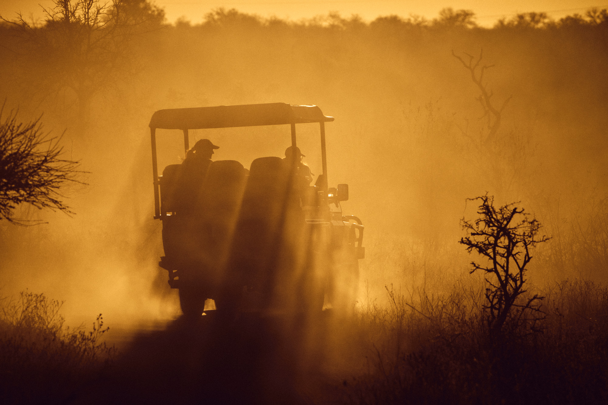 bush photography camp
